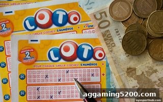 爱游戏体育下载深度解读：彩票政策地域差异背后的博弈与机遇