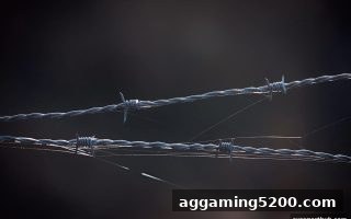 免佣百家乐平台合法性查询全攻略：爱游戏体育下载教你识别合规渠道